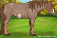 Horse Color:Red Roan Frame Rabicano 