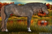 Horse Color:Liver Chestnut Sabino