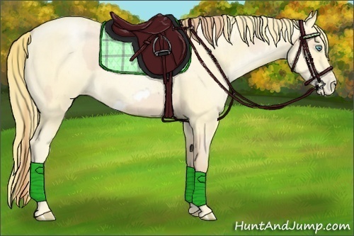 Horse Color:Buckskin Roan Pearl  and Buckskin Roan Pearl Frame 