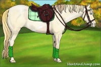 Horse Color:Buckskin Roan Pearl and Buckskin Roan Pearl Frame