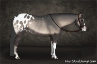 Horse Color:Blue Onyx Appaloosa Rabicano 