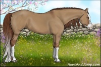 Horse Color:Red Dun Splash 