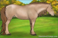 Horse Color:Liver Chestnut Pearl  and Liver Chestnut Pearl 