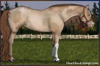 Horse Color:Brown Pearl and Brown Pearl Dun