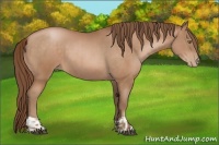 Horse Color:Brown Pearl  and Brown Pearl 