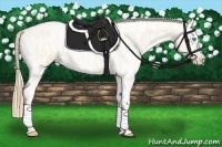 Horse Color:Buckskin Roan Pearl  and Buckskin Roan Pearl Appaloosa 