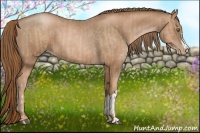 Horse Color:Liver Chestnut Pearl  and Liver Chestnut Pearl 