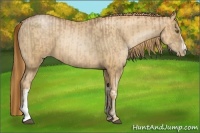 Horse Color:Liver Chestnut Pearl  and Gold Champagne Pearl 