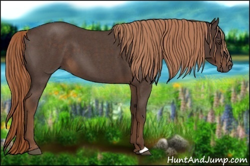 Horse Color:Liver Red Roan 