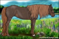 Horse Color:Liver Red Roan 