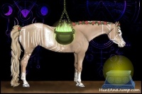 Horse Color:Liver Chestnut Pearl  and Liver Chestnut Pearl Splash 