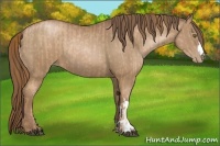 Horse Color:Liver Chestnut Pearl  and Black Pearl 