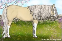 Horse Color:Palomino Dun Splash