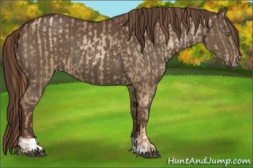 Horse Color:Liver Chestnut Pearl  and Liver Chestnut 