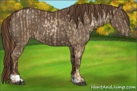 Horse Color:Liver Chestnut Pearl and Liver Chestnut