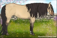 Horse Color:Bay Dun