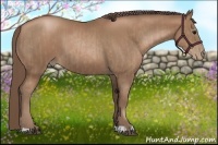 Horse Color:Black Pearl  and Black Pearl 