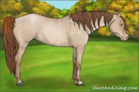 Horse Color:Bay Roan Pearl Dun  and Bay Roan Pearl Dun 