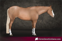 Horse Color:Brown Pearl  and Liver Chestnut Pearl 