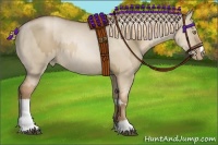 Horse Color:Liver Red Dun Pearl and Liver Red Dun Pearl Rabicano