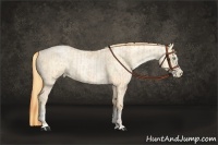 Horse Color:Buckskin Roan Pearl and Buckskin Roan Pearl