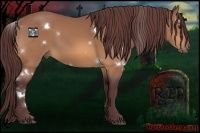 Horse Color:White Spotted Chocolate Buckskin 