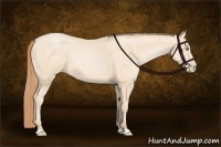 Horse Color:Buckskin Pearl 