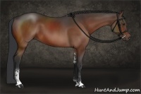 Horse Color:Brown Sabino