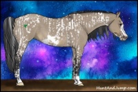 Horse Color:Brown Roan Dun Tobiano Frame  and Brown Roan Dun Frame 