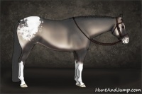 Horse Color:Blue Onyx Varnish 