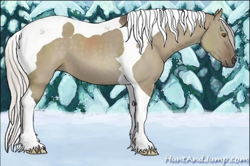 Horse Color:Silver Grullo Tobiano