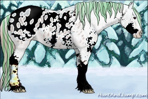 Horse Color:Painted Watercolor Brown Dun Splash Blanket