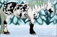 Horse Color:Painted Watercolor Brown Dun Splash Appaloosa 
