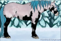 Horse Color:Painted Watercolor Bay Dun Splash