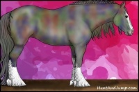 Horse Color:Nacre Black Sabino