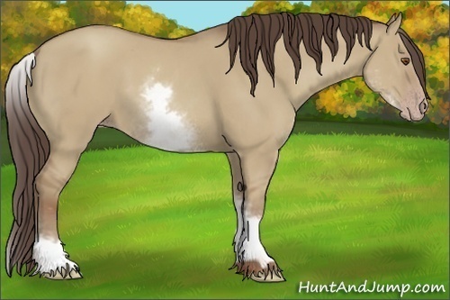 Horse Color:White Spotted Classic Champagne Dun 