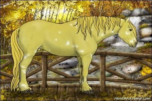 Horse Color:Watercolor White Spotted Chestnut 