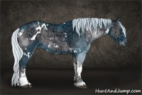 Horse Color:Watercolor White Spotted Silver Blue Onyx Chinchilla Ice Sabino 