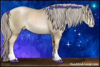 Horse Color:Chocolate Palomino Pearl Sabino Rabicano
