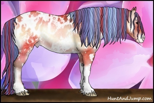 Horse Color:Painted White Spotted Brown Pearl Onyx Blanket