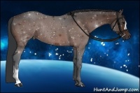 Horse Color:Brown Rabicano 