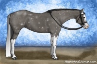 Horse Color:Grullo Sabino Splash 