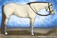 Horse Color:Buckskin Ice Roan Dun