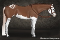 Horse Color:Chestnut Sabino Splash Varnish 