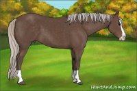 Horse Color:Silver Black Splash
