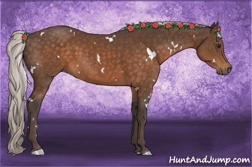 Horse Color:White Spotted Silver Brown 