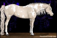 Horse Color:White Spotted Chocolate Palomino Pearl Sabino