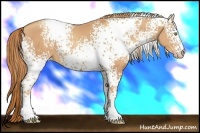 Horse Color:White Spotted Gold Champagne