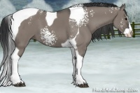 Horse Color:White Spotted Grullo Splash Tobiano