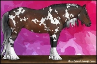 Horse Color:White Spotted Brown